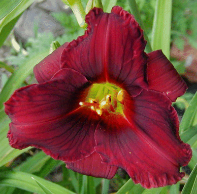 Photo of ALEXANDRA KATHRYN